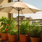 Come proteggere le piante dai forti raggi solari sul balcone? Soluzione semplice contro le ustioni