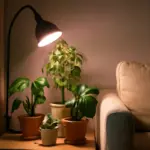 Luce artificiale per piante da appartamento: la soluzione efficace se la tua casa è poco luminosa