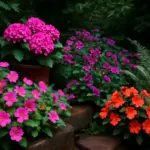 Quali sono le piante da fiore più adatte all’ombra in giardino? Colori vivaci anche nelle zone meno luminose
